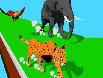 Animal Transform Race