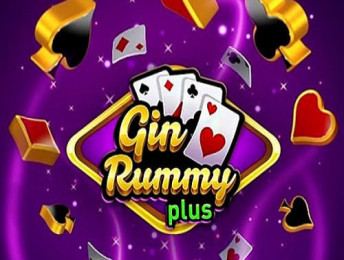 Gin Rummy Plus