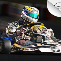 Kart Racing Ultimate