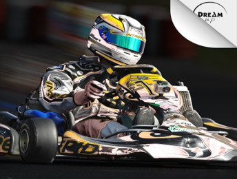 Kart Racing Ultimate