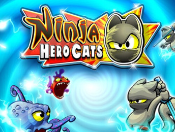 Ninja Hero Cats