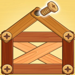 Woodnuts Bolts Puzzle