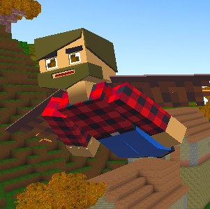 Elytra Flight
